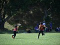 Tn dsc 0838